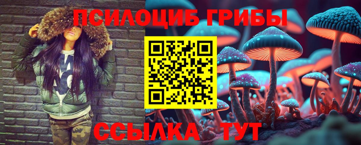 Псилоцибиновые грибы Psilocybine cubensis  Вход с VPN  Электросталь  Псилоцибиновые грибы Magic Shrooms 