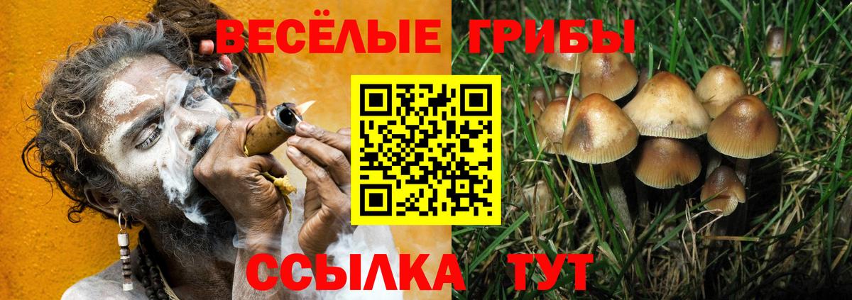 Псилоцибиновые грибы GOLDEN TEACHER Электросталь